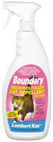 Boundary Cat Pump