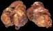 Redbarn Meaty Knuckle Bone (7"length; Beef)